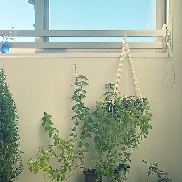 moeiiio1110さんの実例写真