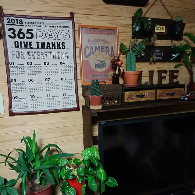 Brown.Lifeさんの実例写真