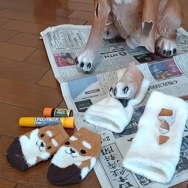 NOAHさんの部屋