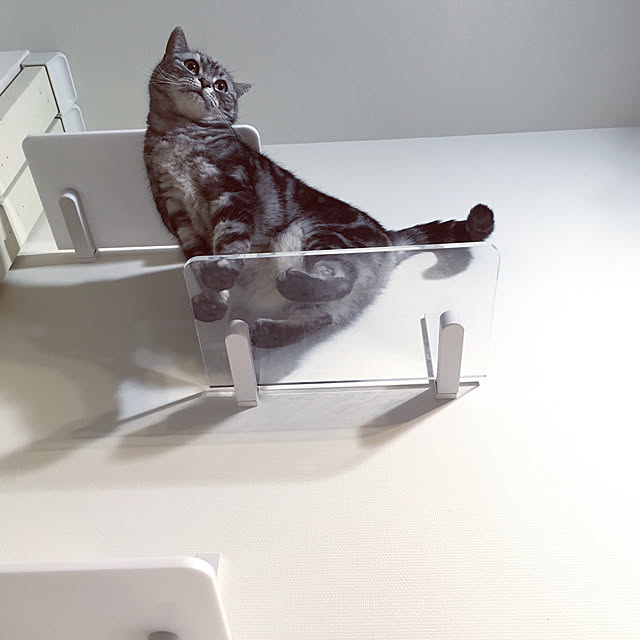 mikomaruさんの実例写真