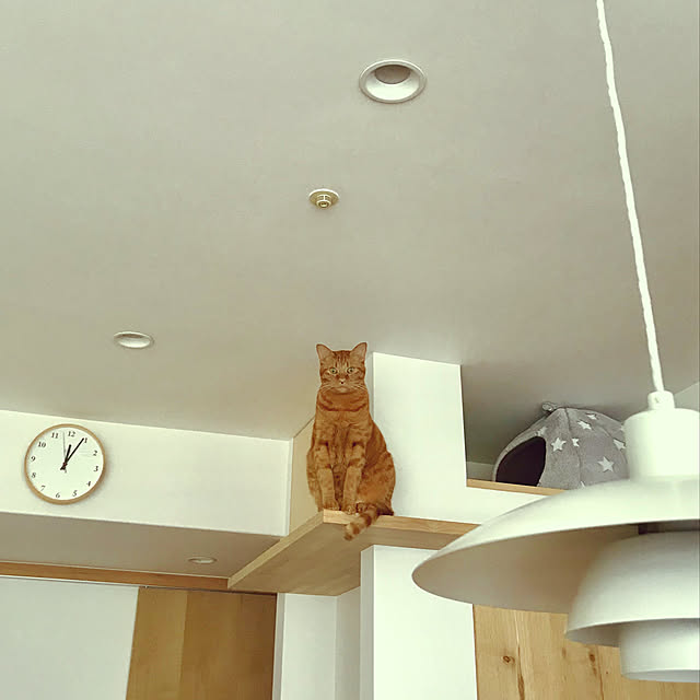 pooさんの実例写真