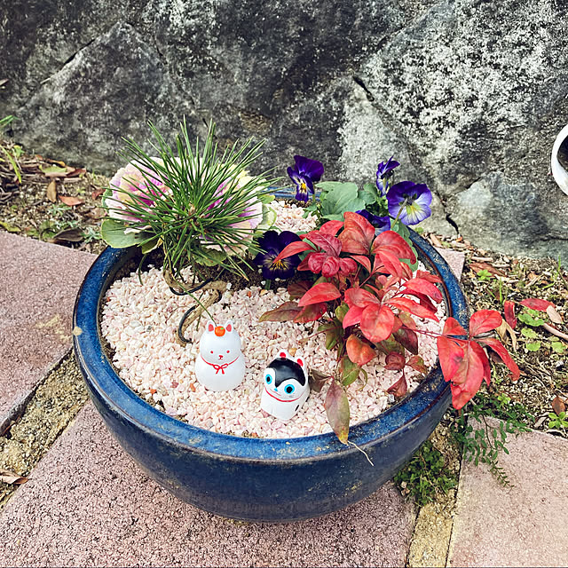 pororoさんの実例写真