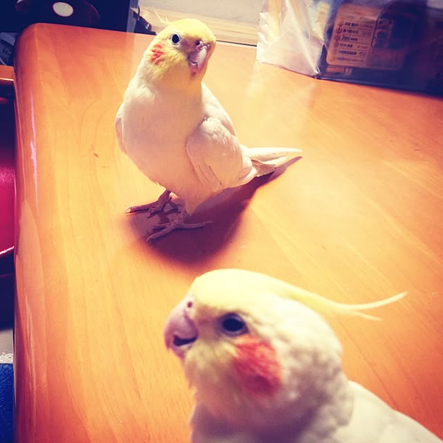 tinkさんの実例写真