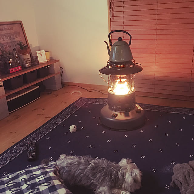 gizmoさんの実例写真