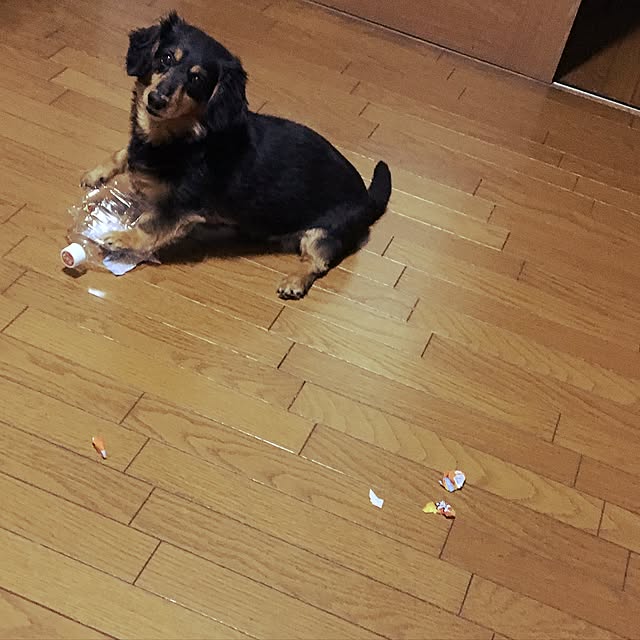 ohanaさんの実例写真