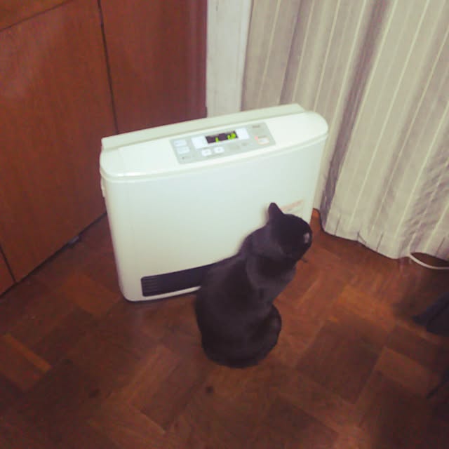 aramichannさんの実例写真