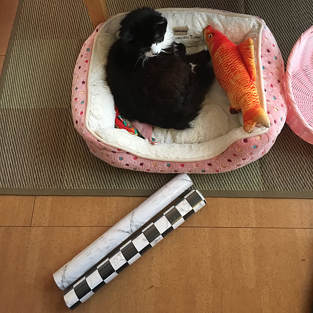 kanaさんの実例写真