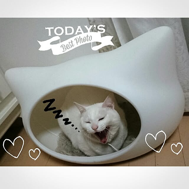 kikinanaさんの実例写真