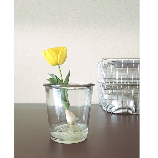 cata_coto_さんの実例写真