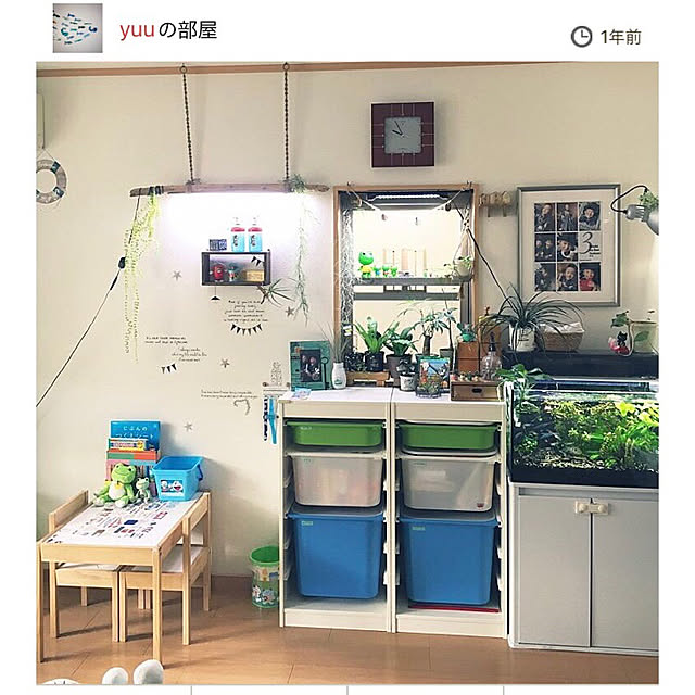 部屋全体/子供のいる暮らし/アクアリウム/フェイクグリーン/セリア...などのインテリア実例 - 2018-11-27 00:27:28