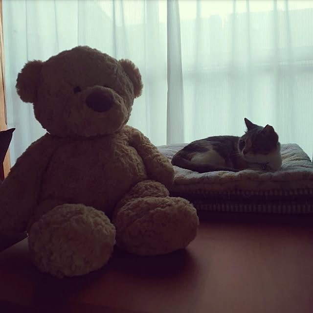 fukuさんの部屋