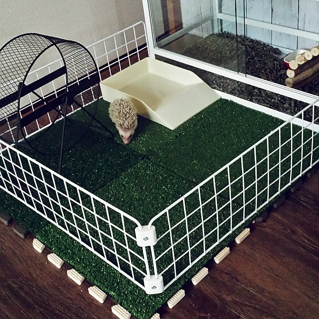 MINIさんの実例写真