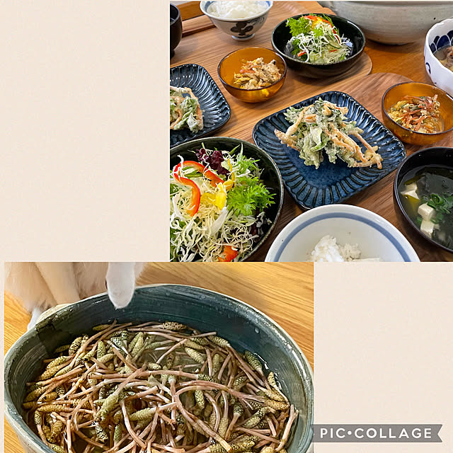 nobikoさんの実例写真