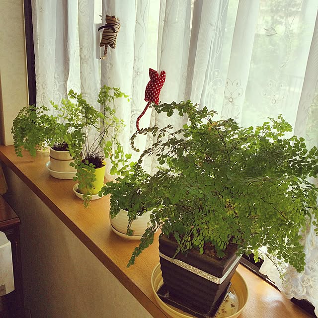 Rananさんの実例写真