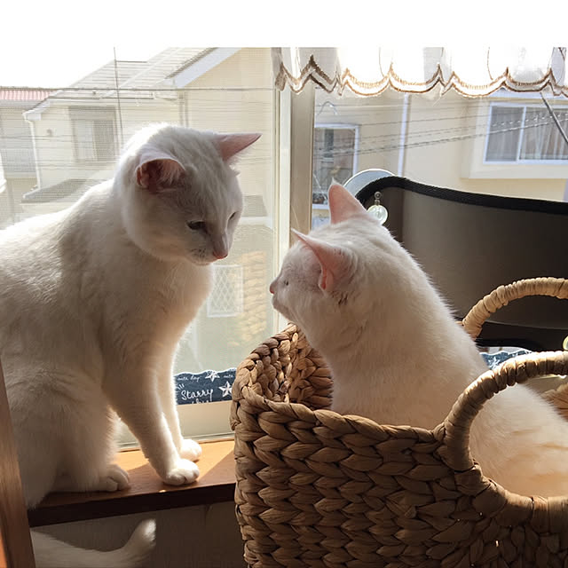 kuntaさんの実例写真
