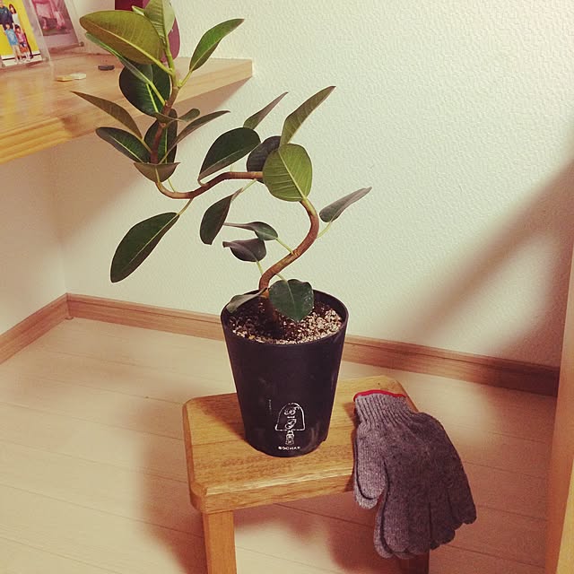 mamiさんの実例写真