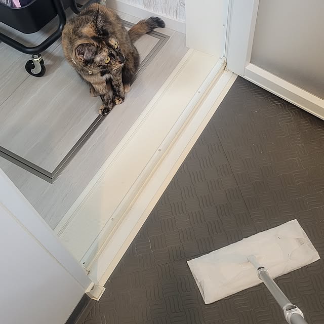 natuさんの部屋