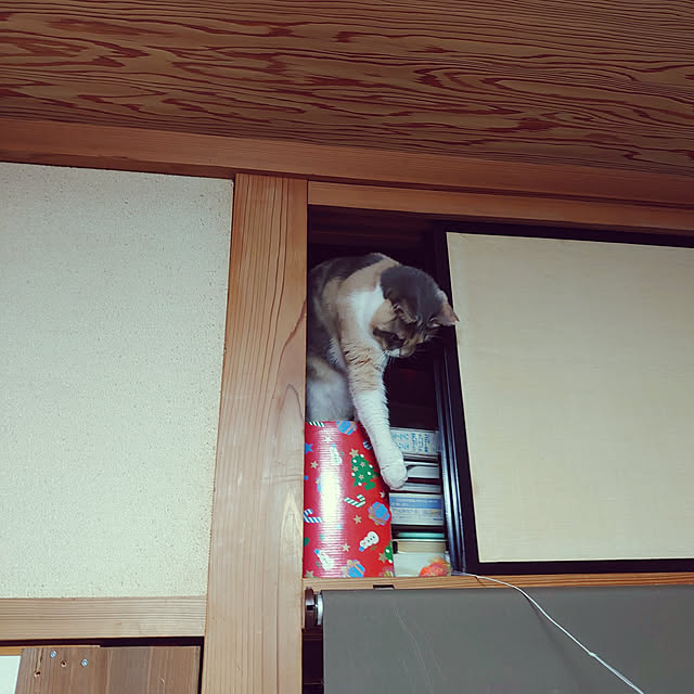 fukuさんの実例写真