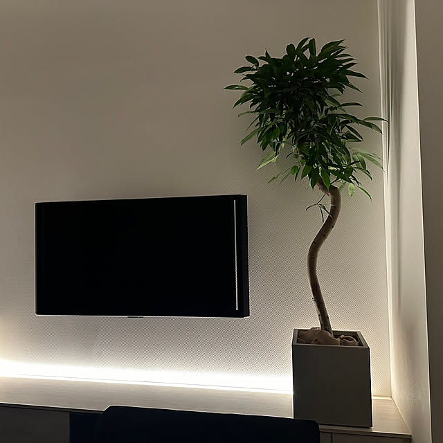 nanaさんの部屋