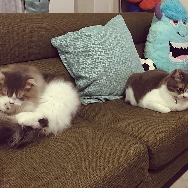 hirohiro081さんの実例写真