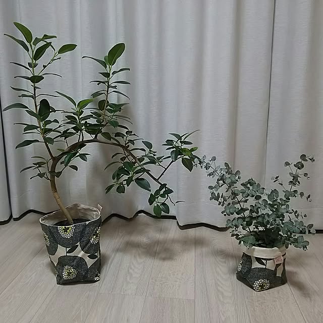 angel104さんの実例写真