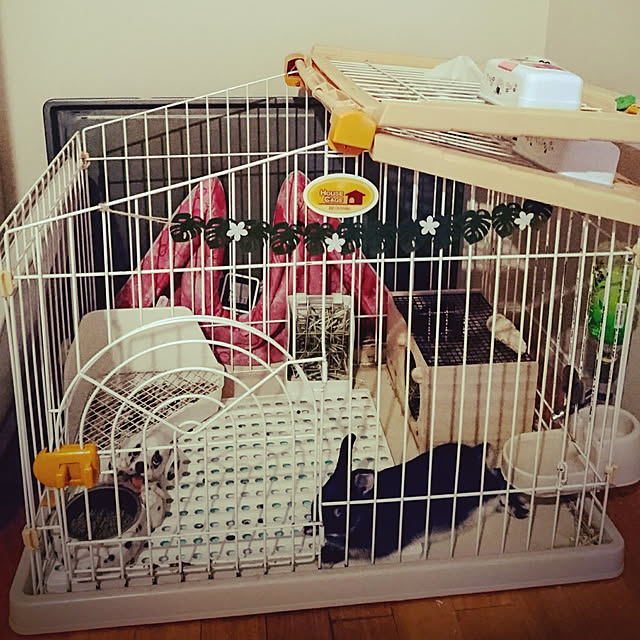 hidemomさんの実例写真