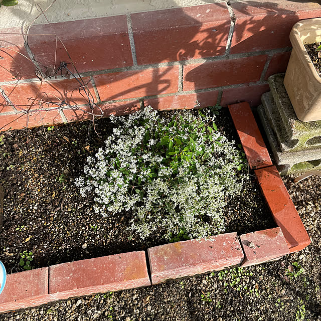 shin0719さんの部屋