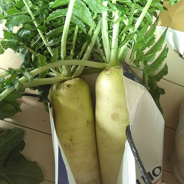 tomo3さんの部屋