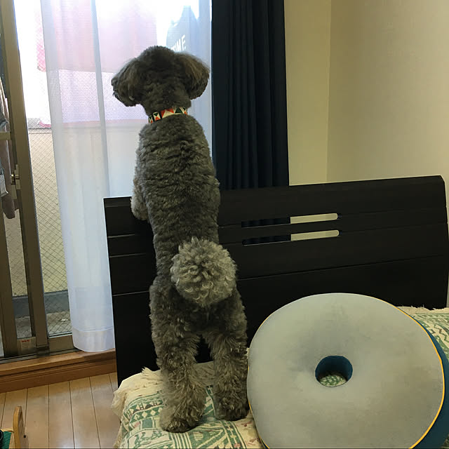 reonmamaさんの実例写真