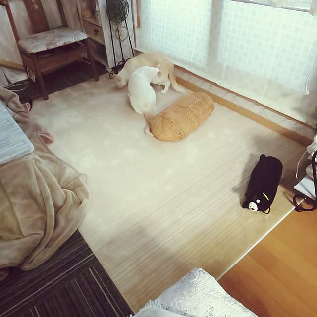 posauruさんの実例写真