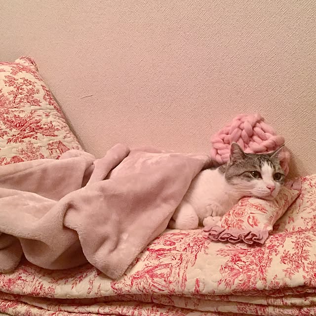 emmyyさんの実例写真