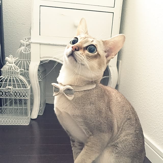 a-mkさんの実例写真