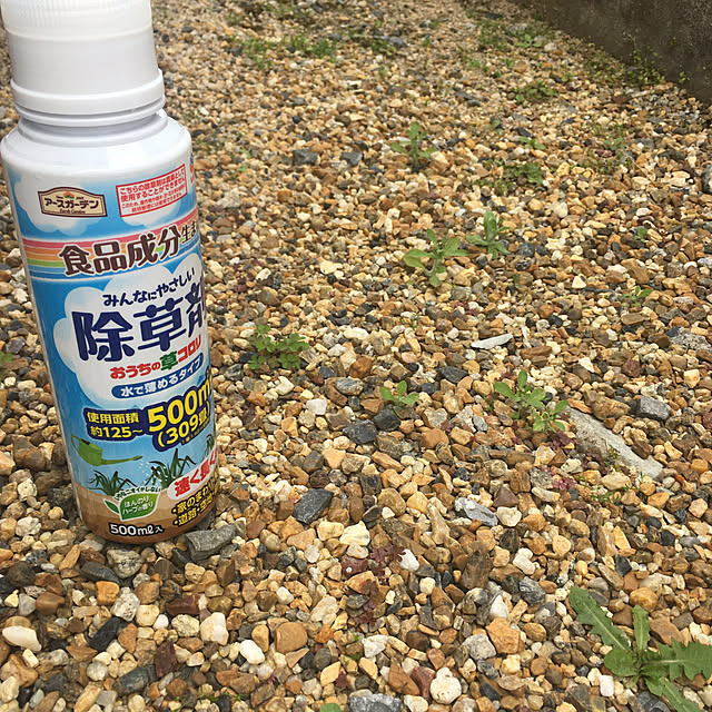 PEKO3_3さんの実例写真