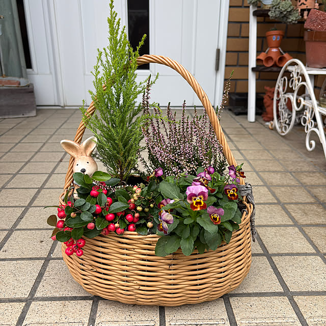 chIoeさんの実例写真