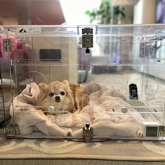 Emafuさんの実例写真