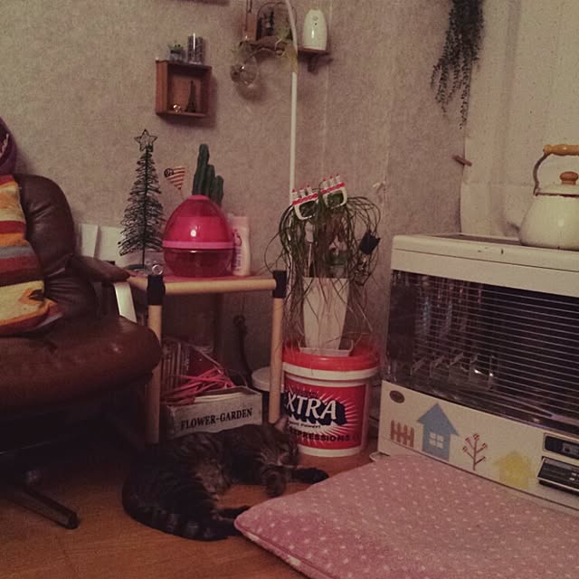 Kanaさんの実例写真