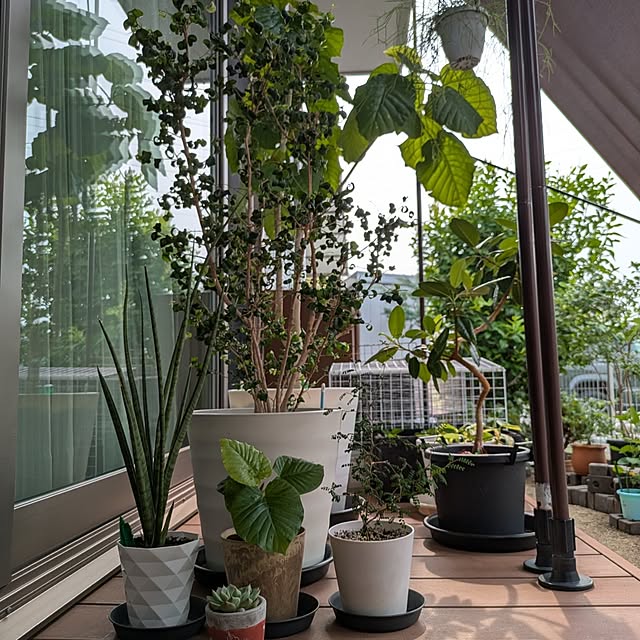 naoさんの部屋