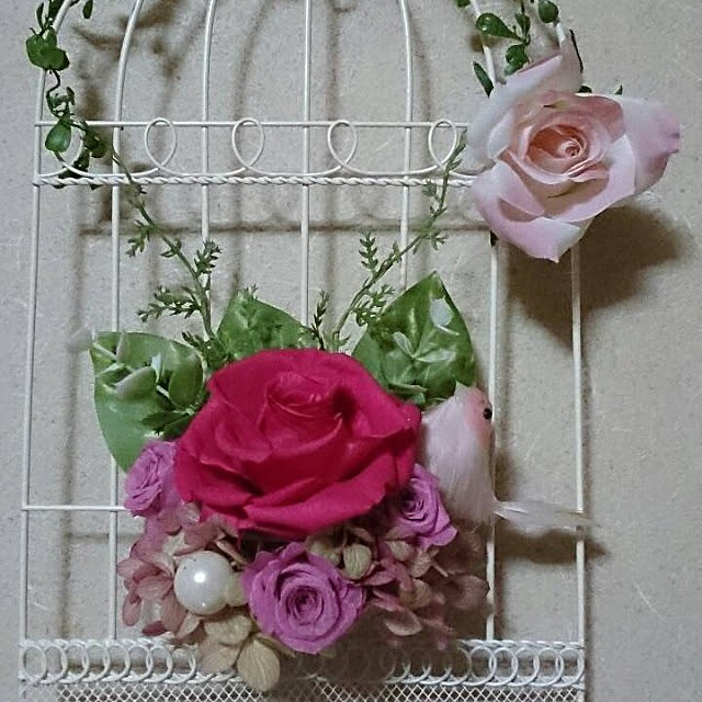 masutomi0305924さんの実例写真