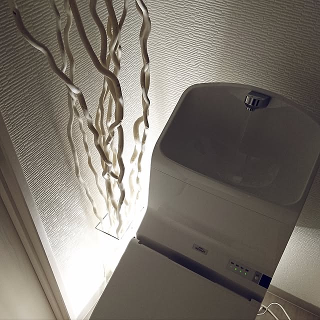 Daiseiさんの実例写真