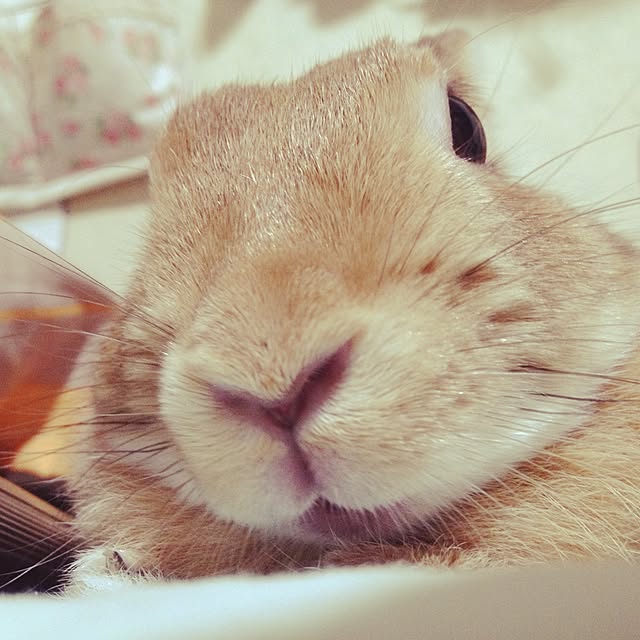 Rioさんの実例写真