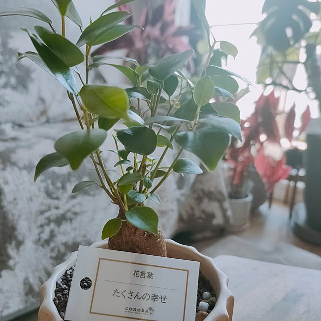 KEIKOさんの部屋