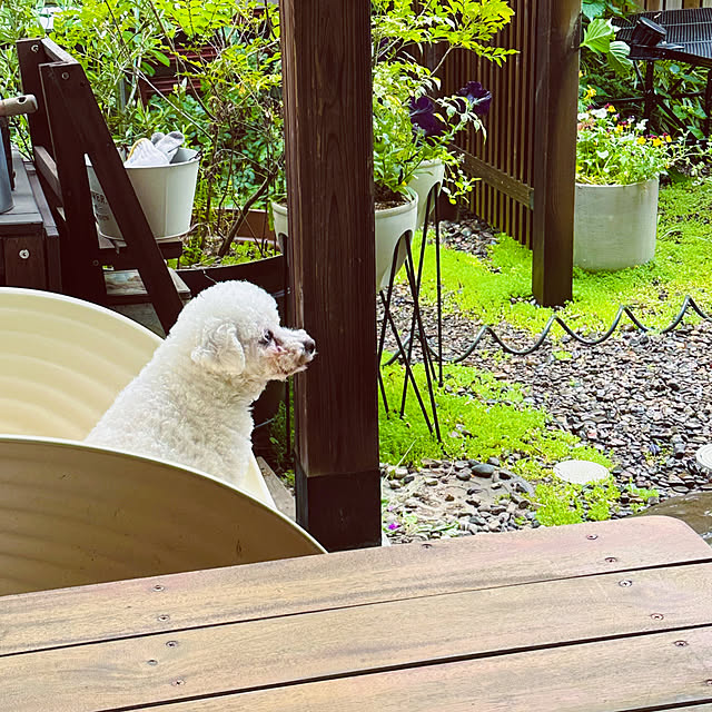 chacoさんの部屋