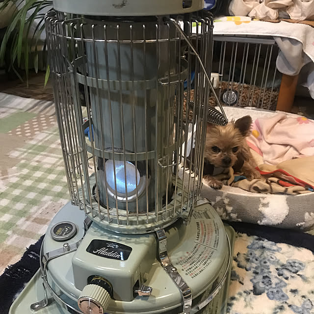 amiromikaさんの実例写真