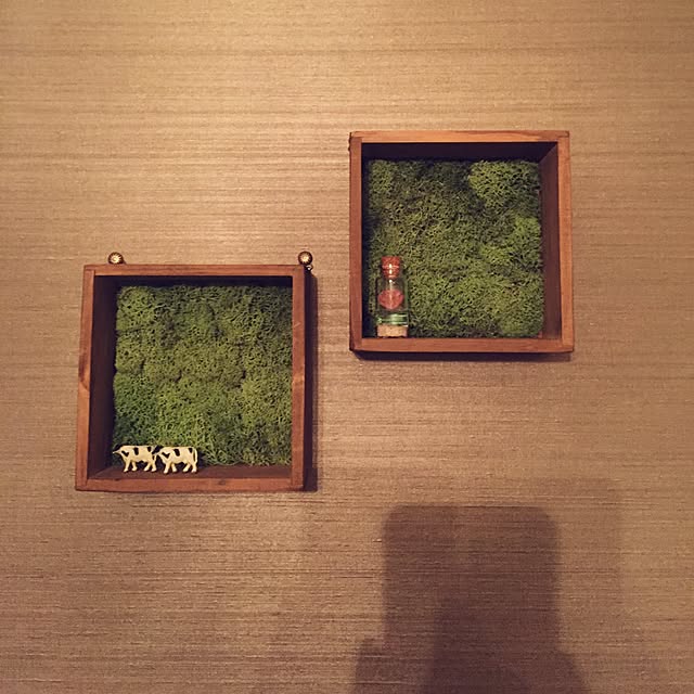 ayu.さんの実例写真