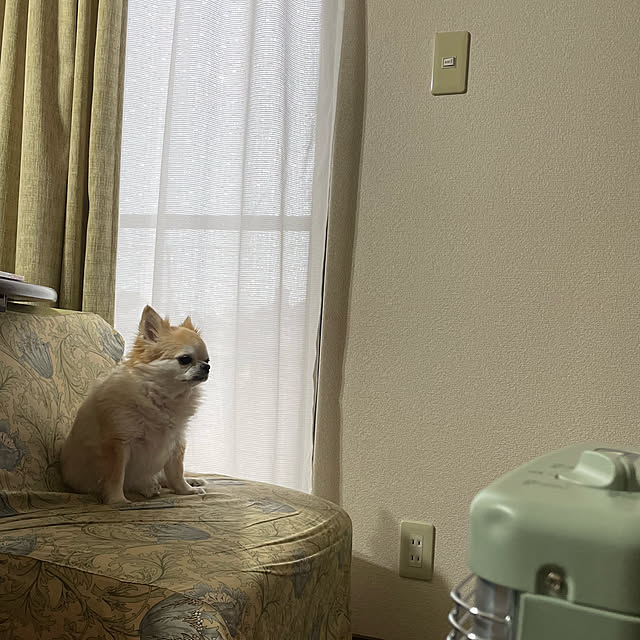 natsumiさんの部屋