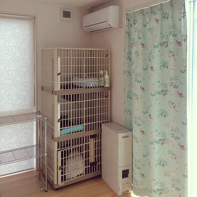 aruさんの実例写真