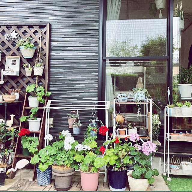 CoCo0617さんの実例写真