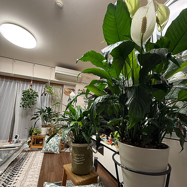 Aqettyさんの部屋