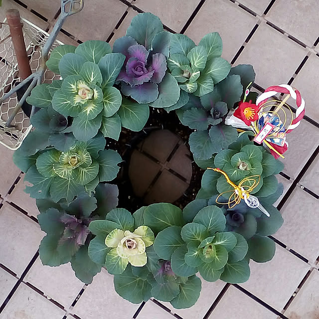 mariagardenさんの実例写真