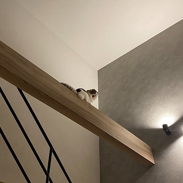 piklsさんの実例写真